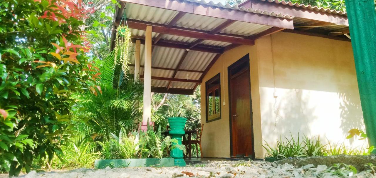 Joshua'S Cottage Sigiriya Dış mekan fotoğraf