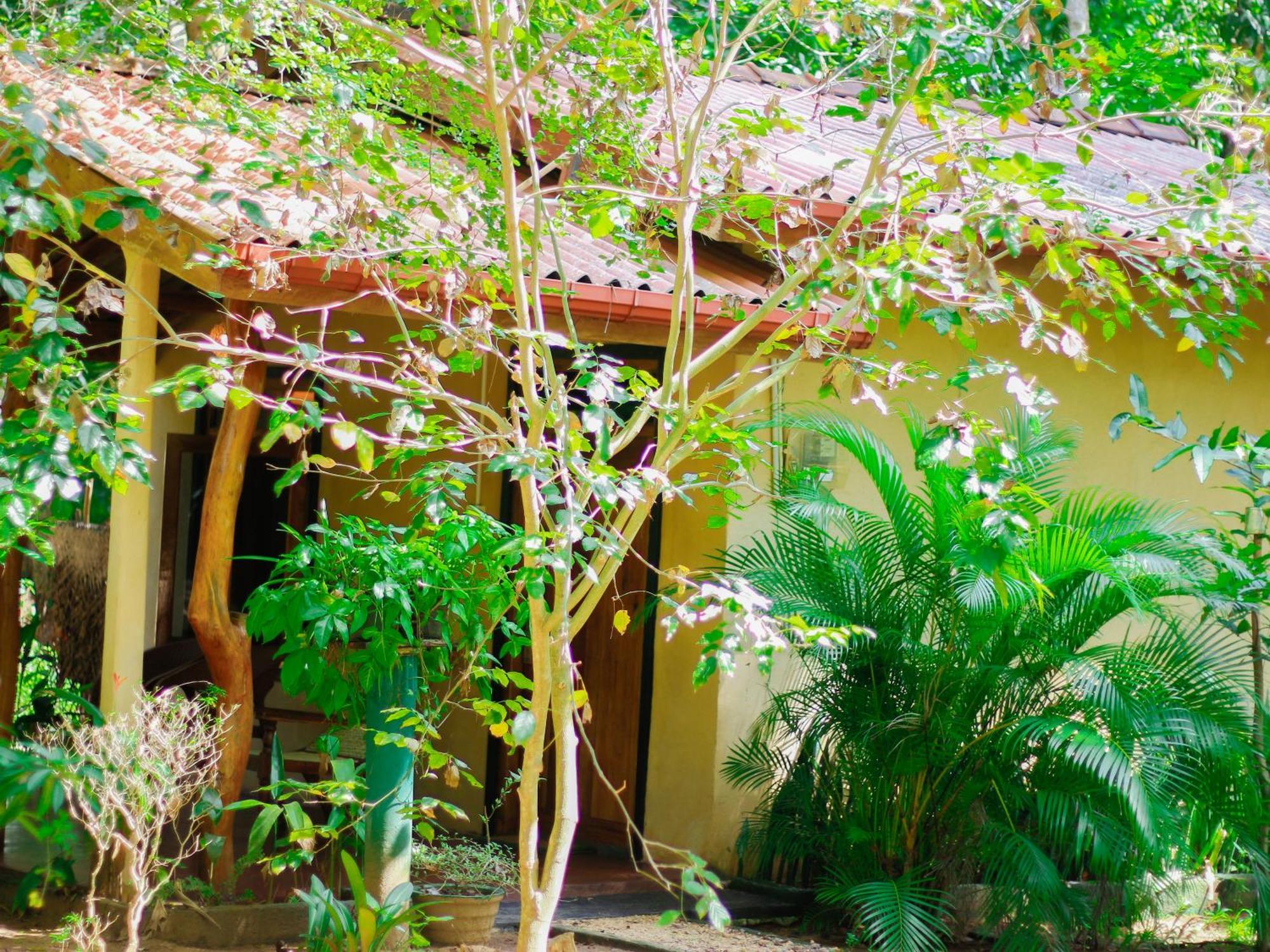 Joshua'S Cottage Sigiriya Dış mekan fotoğraf